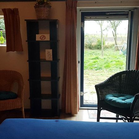 Logeerruimte in gerenoveerde boerderij in Wachtum Appartement Buitenkant foto