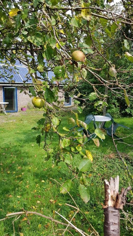 Logeerruimte in gerenoveerde boerderij in Wachtum Appartement Buitenkant foto