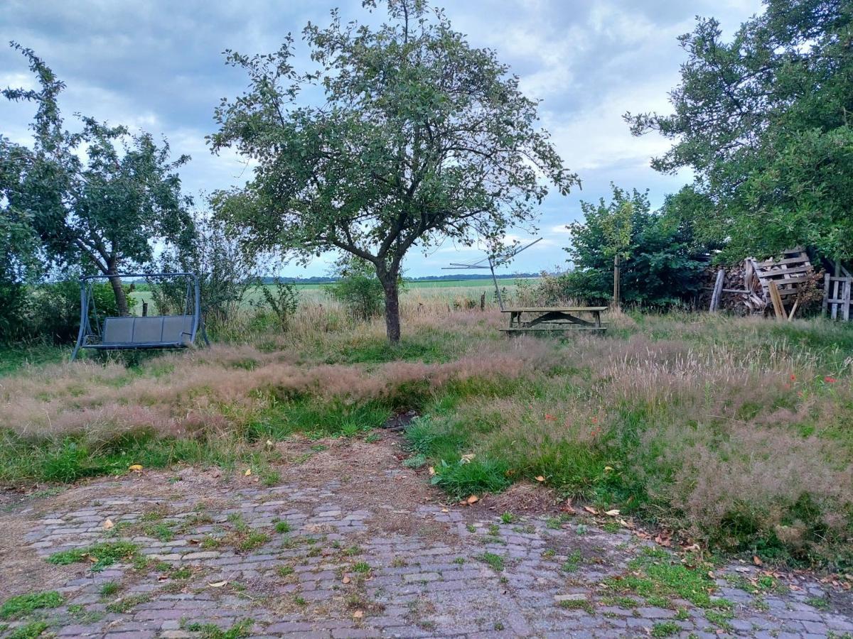 Logeerruimte in gerenoveerde boerderij in Wachtum Appartement Buitenkant foto