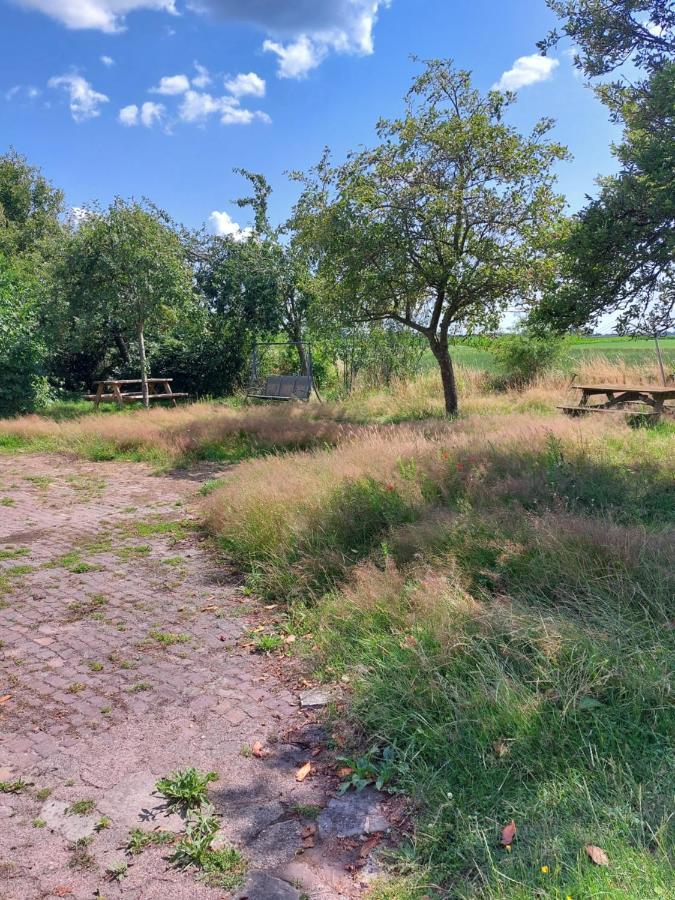 Logeerruimte in gerenoveerde boerderij in Wachtum Appartement Buitenkant foto